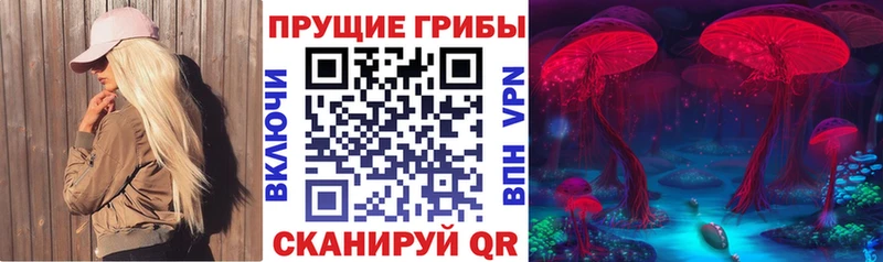 Псилоцибиновые грибы Psilocybine cubensis  Козельск 
